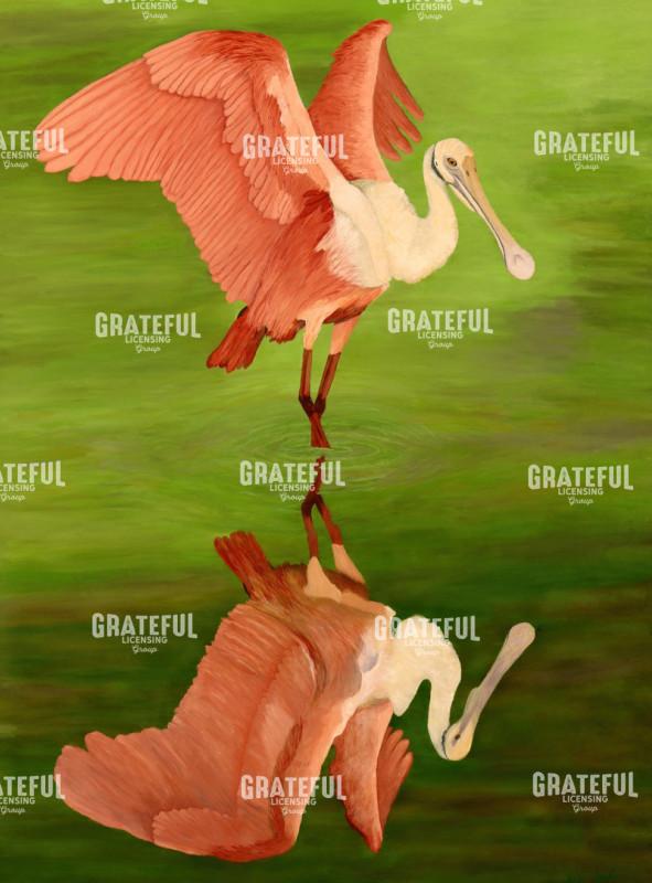 Roseate Spoonbill In Green