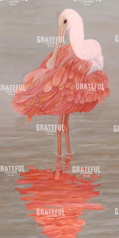 Juvenile Roseate Spoonbill Reflection