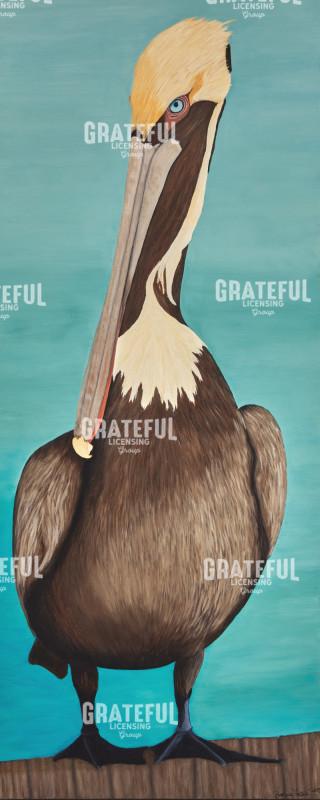 Dock Side Pelican