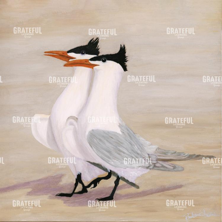 Mating Royal Terns