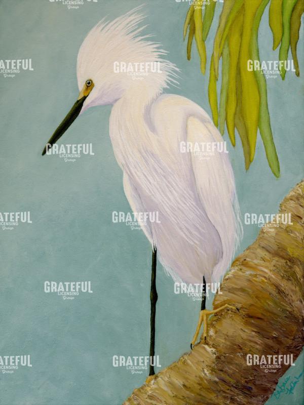 Snowy Egret On Palm Tree