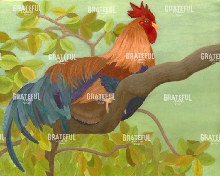 Tree Top K W Rooster