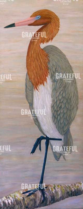 Reddish Egret On Piling