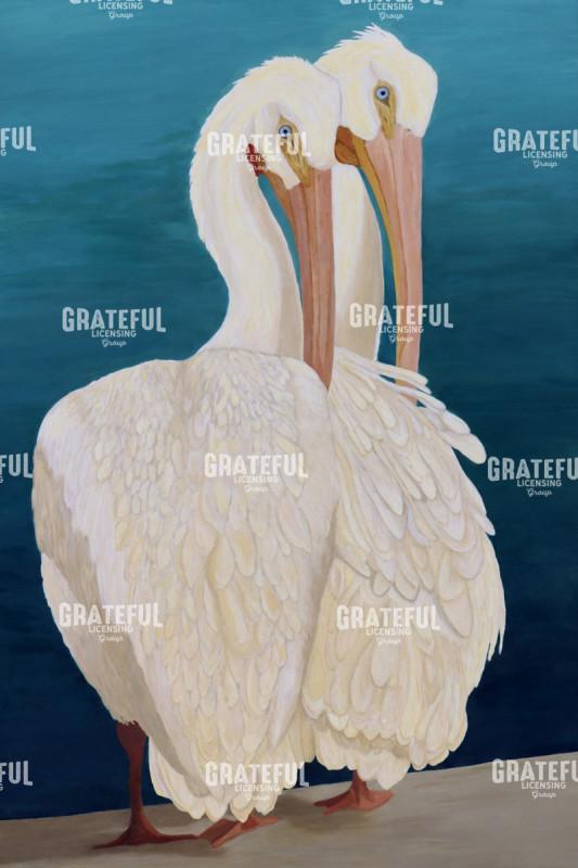 White Pelican Buddies