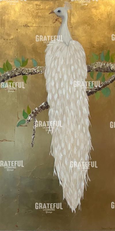 Sensational White Peacock