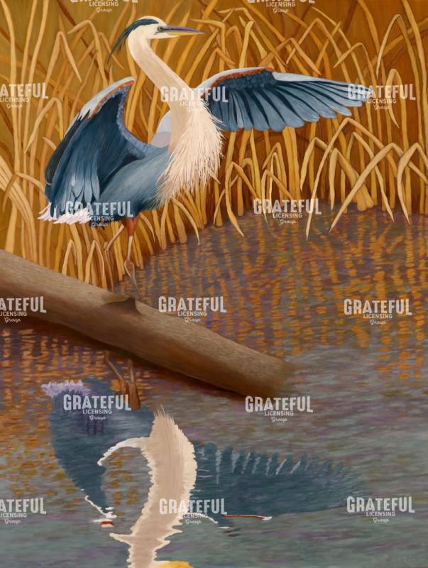 Wetlands Great Heron