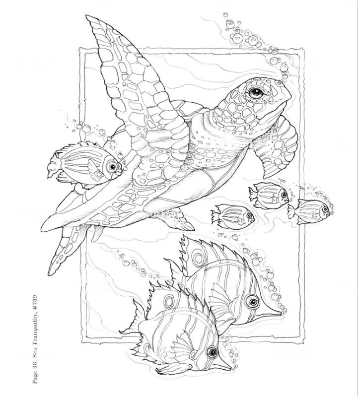 Sea Tranquility Sketch