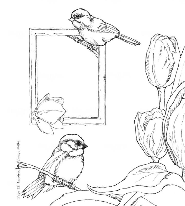 Out on a Limb Sketch