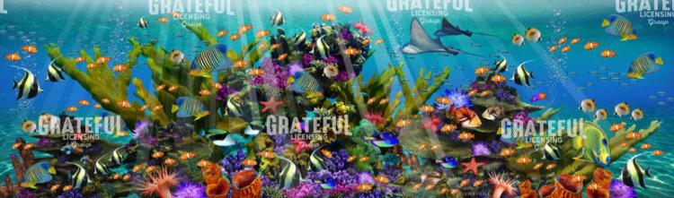 Deep Reef Panoramic