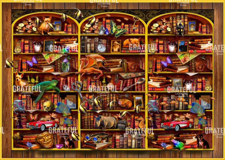 The Illusionary Library