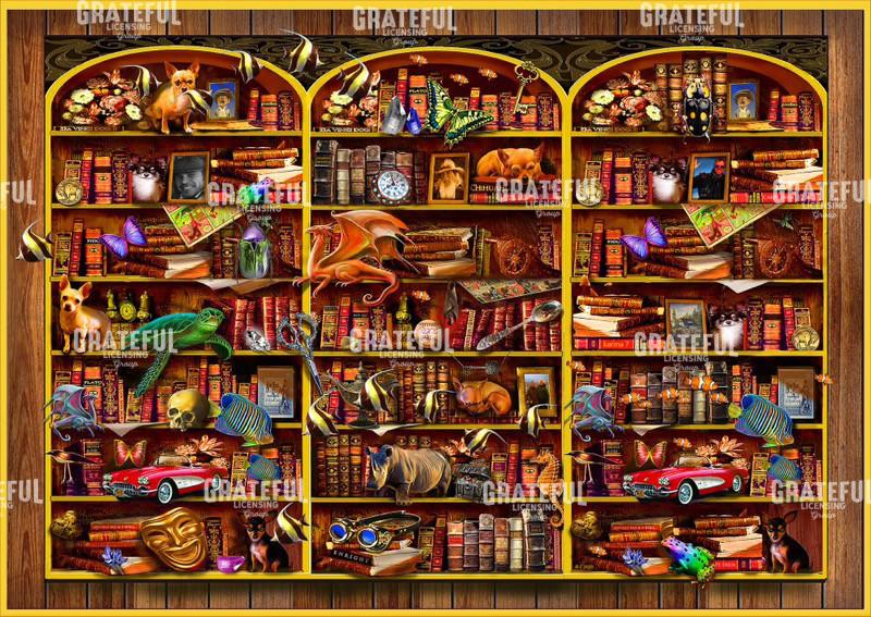 The Illusionary Library