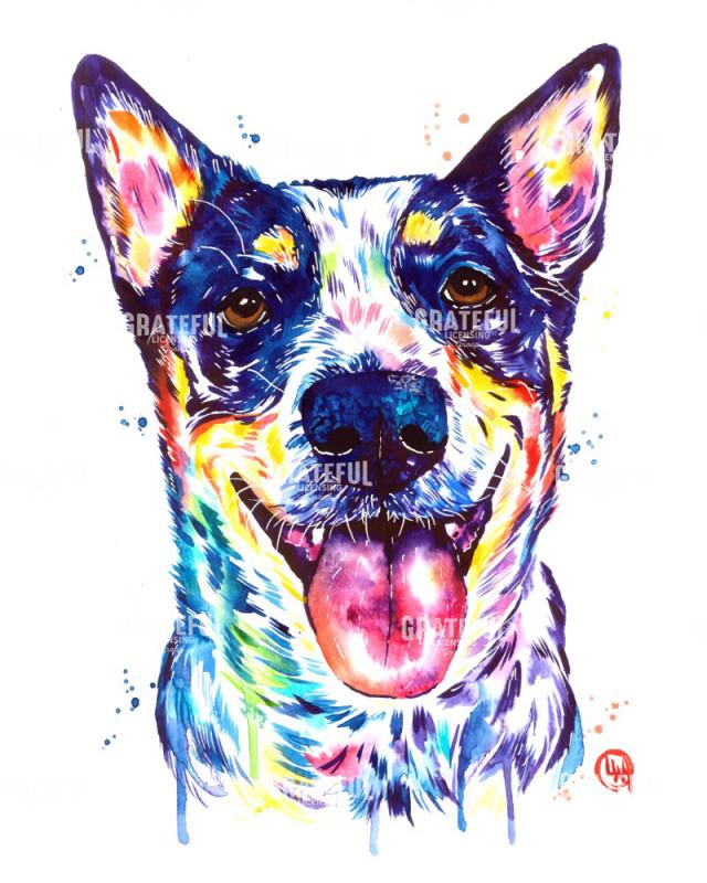 Australian Cattle Dog