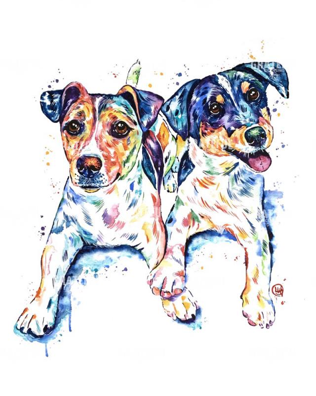 Jack Russel Terriers