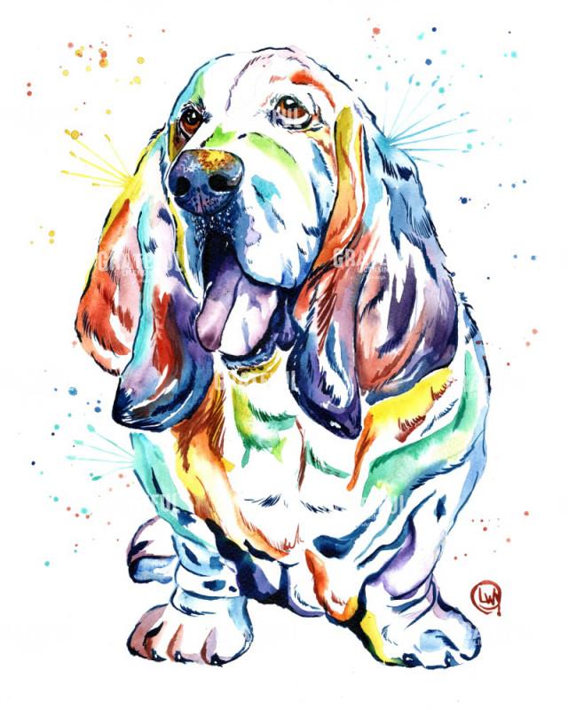 Basset Hound