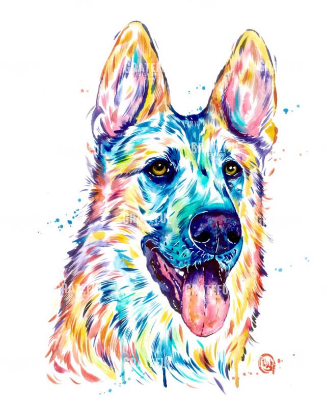 German Shepherd