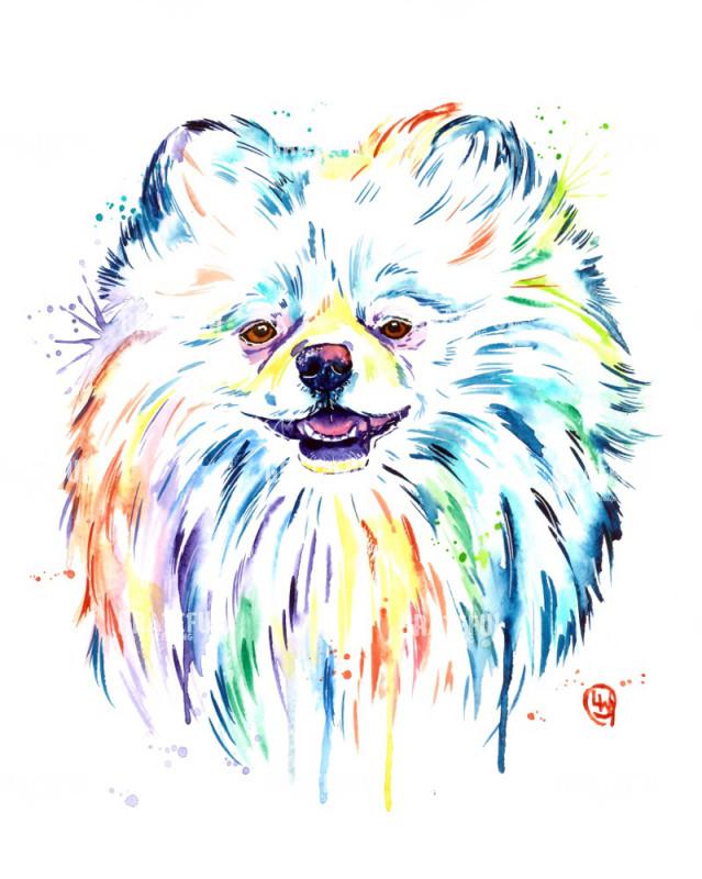 Pom