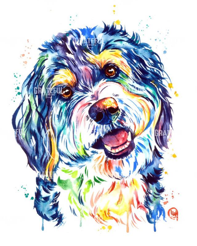 Bernedoodle