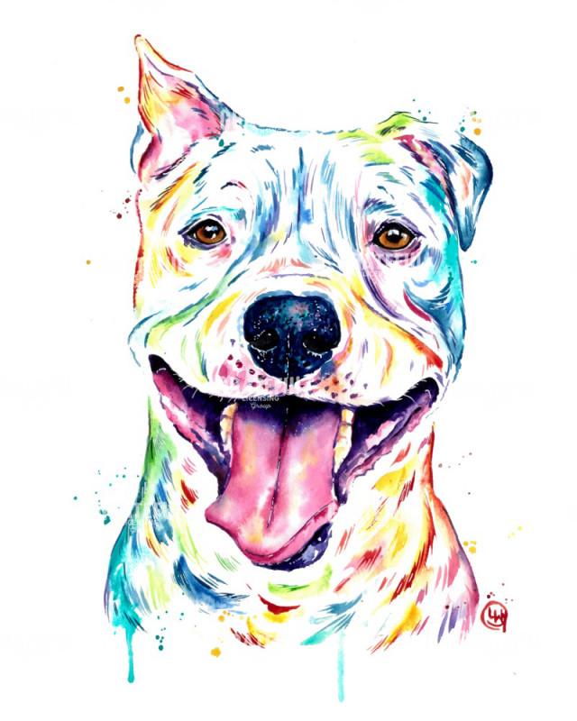 Pitbull - Full of Smiles