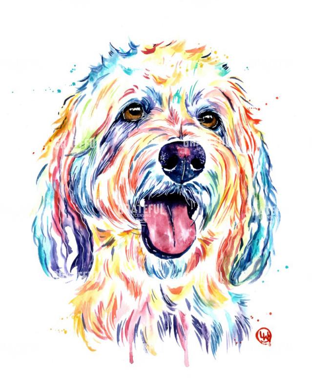 Goldendoodle - Fluffy