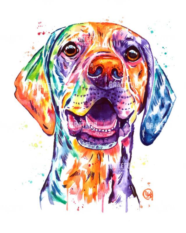 Vizla - Ready For Adventure