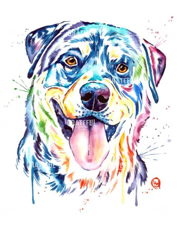 Rottweiler