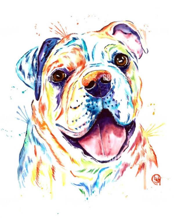 Bull Dog