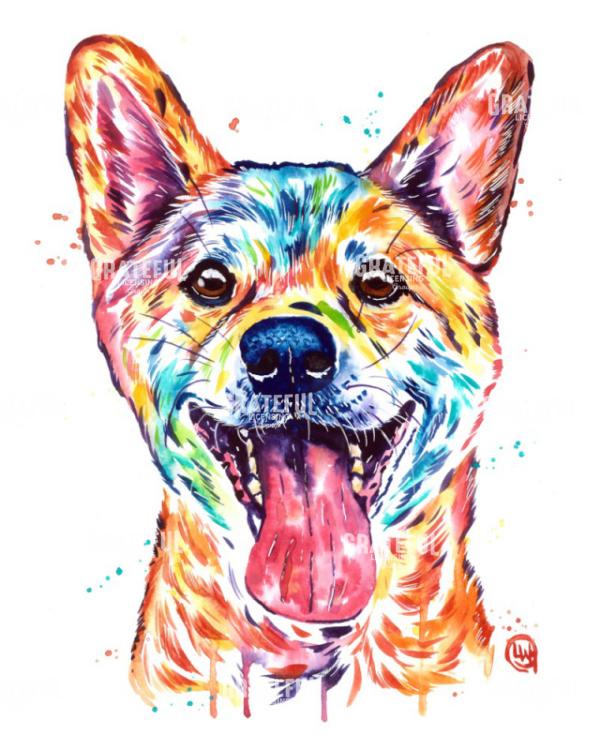 Shiba Inu