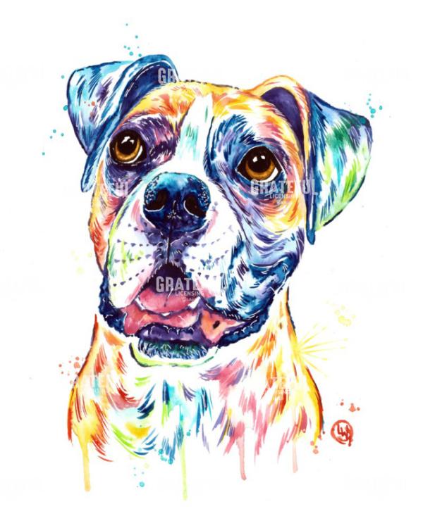Boxer