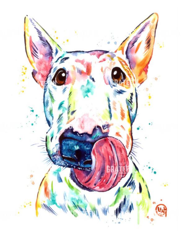 Bull Terrier