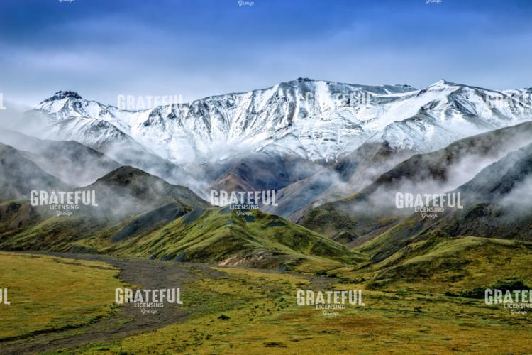 Alaskan Dream