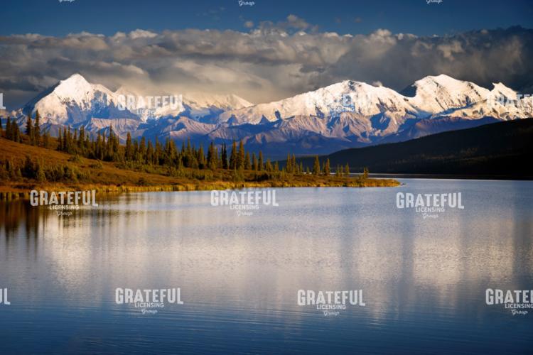 Alaskan Majesty
