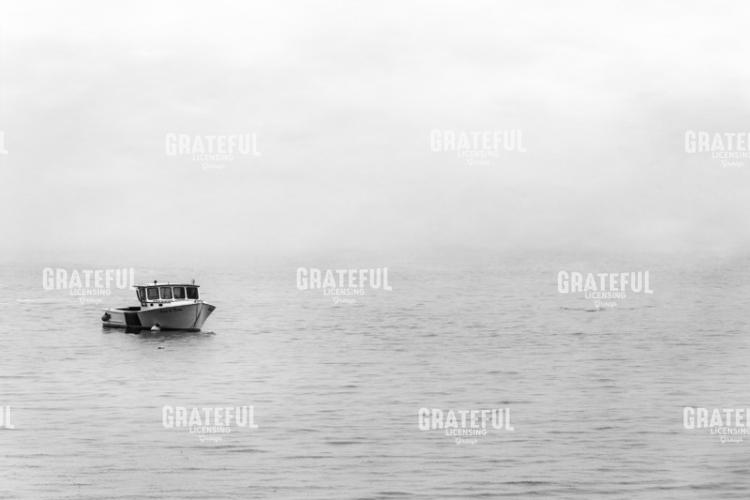 Fog's Embrace