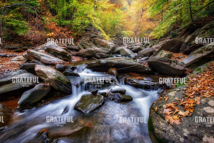 Kaaterskill Creek 2