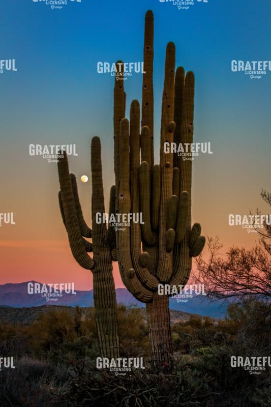 Moonrise Over Tonto 2