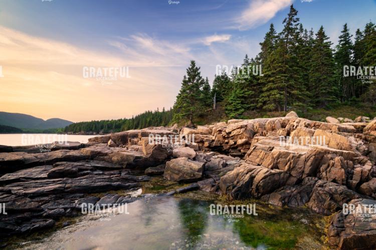 Evening at Otter Point