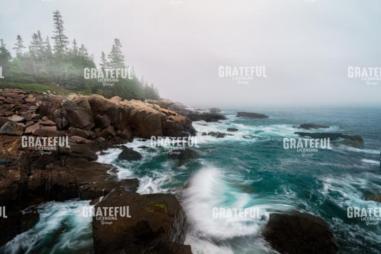 Otter Point in the Fog