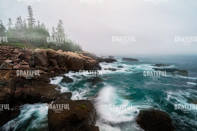 Otter Point in the Fog