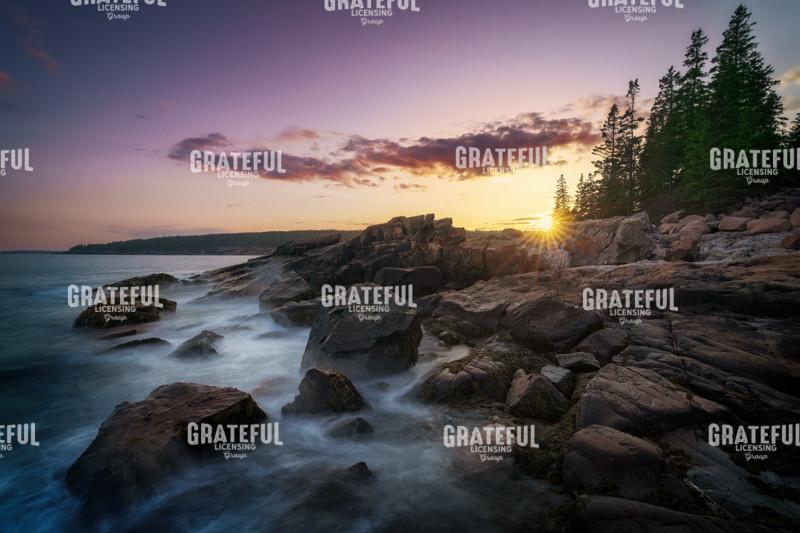 The Solace of Sunset