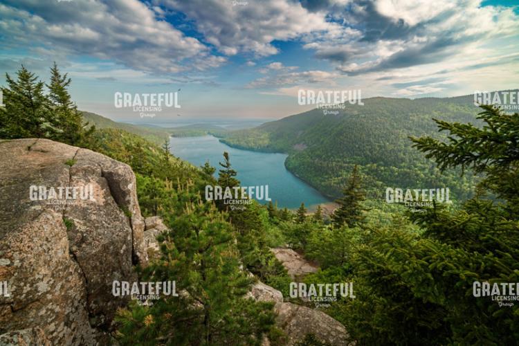 Vista Acadia
