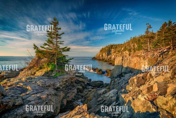 Cliffs of Quoddy Head State Park