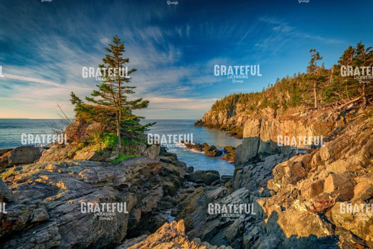 Cliffs of Quoddy Head State Park