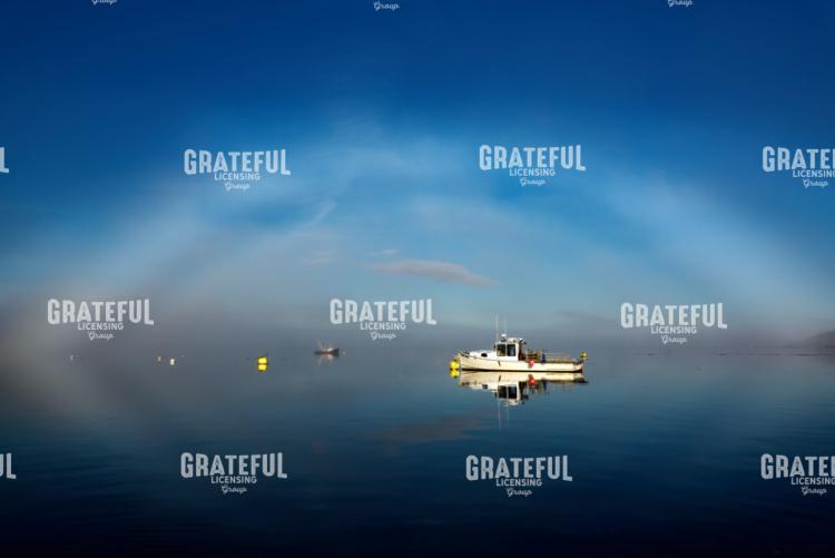 Fogbow