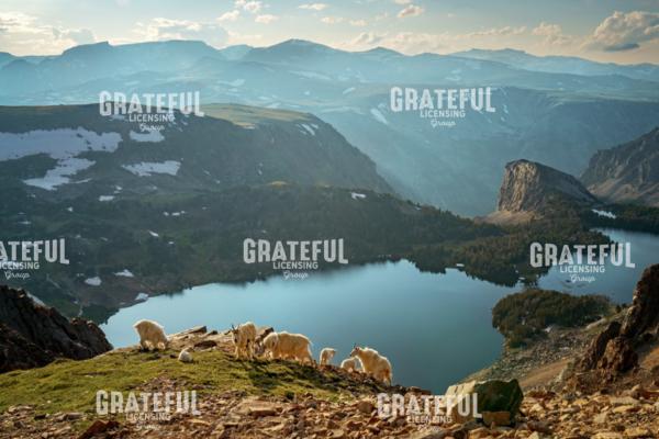 At Home in the Mountains