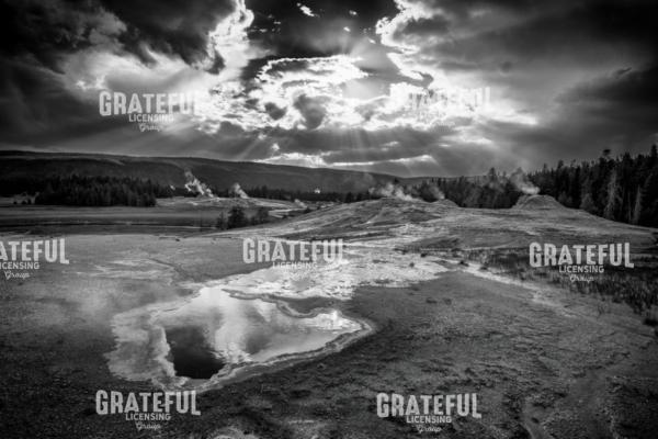 Heart Spring in Monochrome