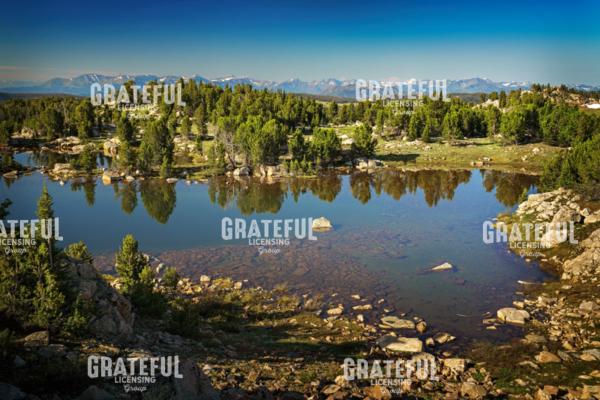 Morning in the Beartooths