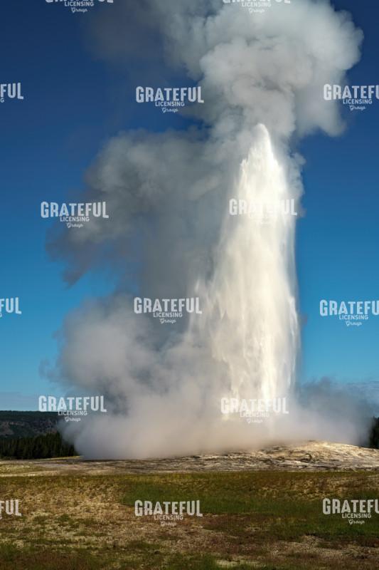 Old Faithful Erupts