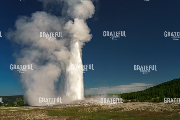 Old Faithful