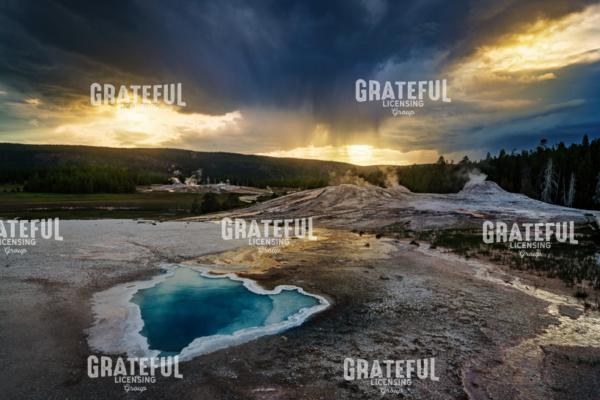 The Heart of the Lion