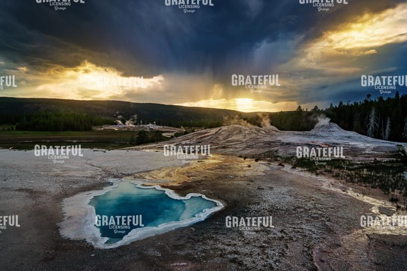 The Heart of the Lion