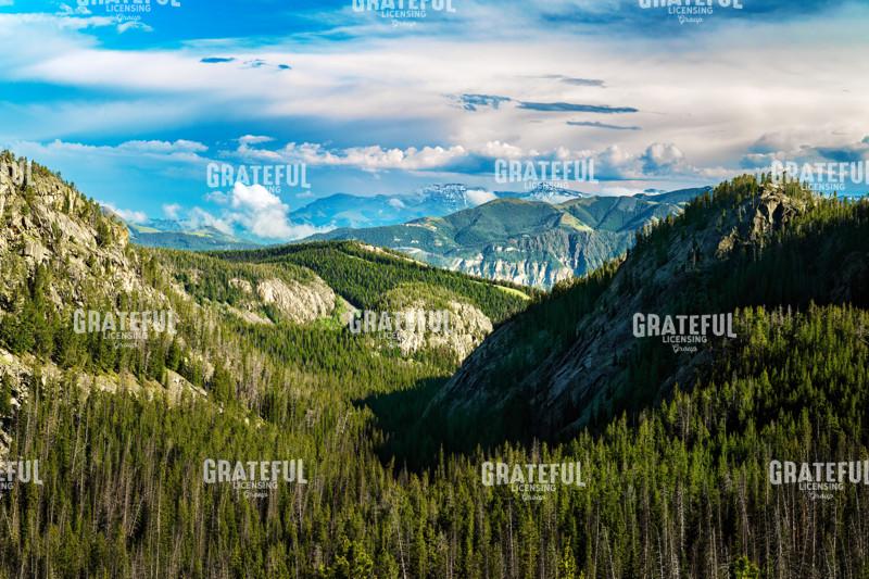 Table Mountain Vista